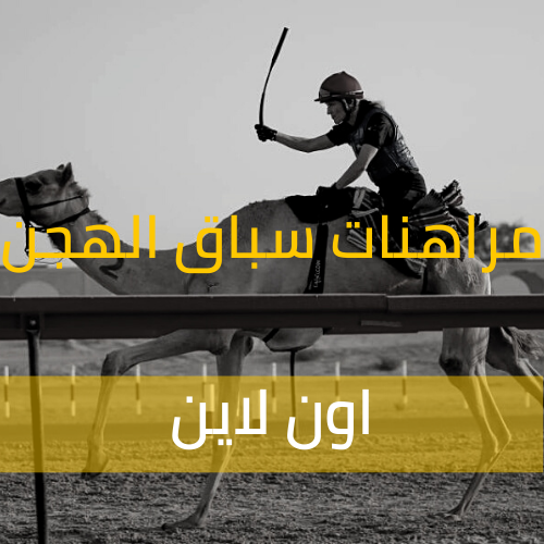 مراهنات سباقات الهجن اون لاين
