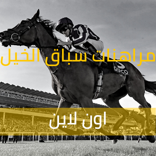 شرح مراهنات سباق الخيل اون لاين